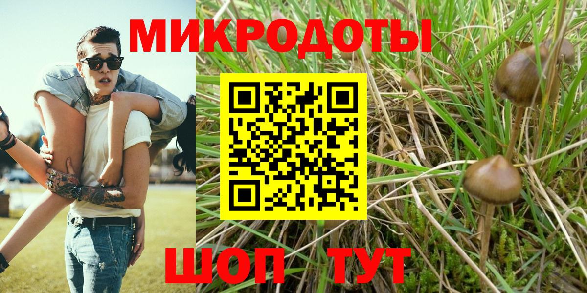 Псилоцибиновые грибы мухоморы Домодедово