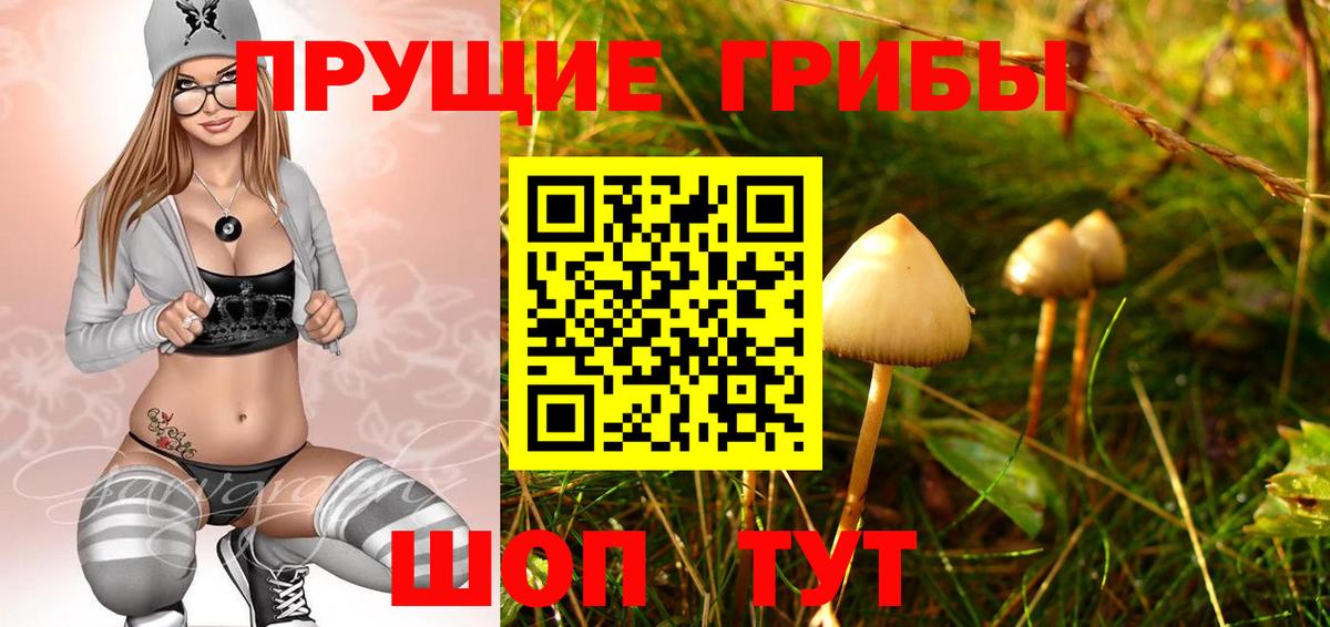 Домодедово  Псилоцибиновые грибы Cubensis  Вход с VPN 